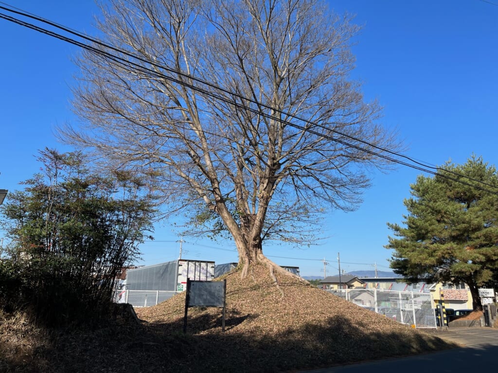 松並木をしばらく北上すると、こんもりと小高い一里塚が。